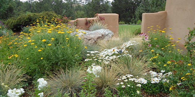 Wild Flowers and Wall